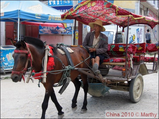 Paarden-taxi in Xizhou 